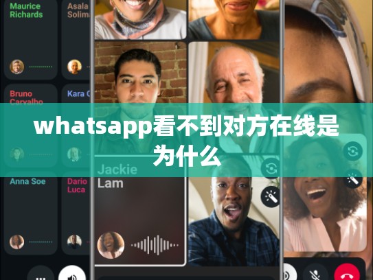 whatsapp看不到对方在线是为什么