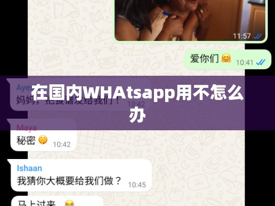在国内WHAtsapp用不怎么办