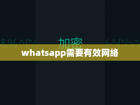 whatsapp需要有效网络