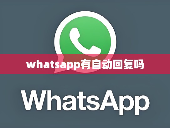whatsapp有自动回复吗