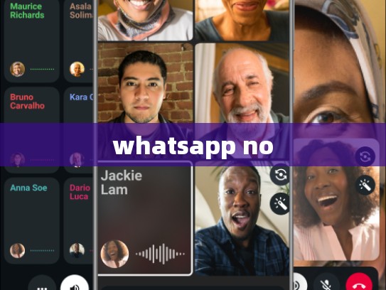 whatsapp no