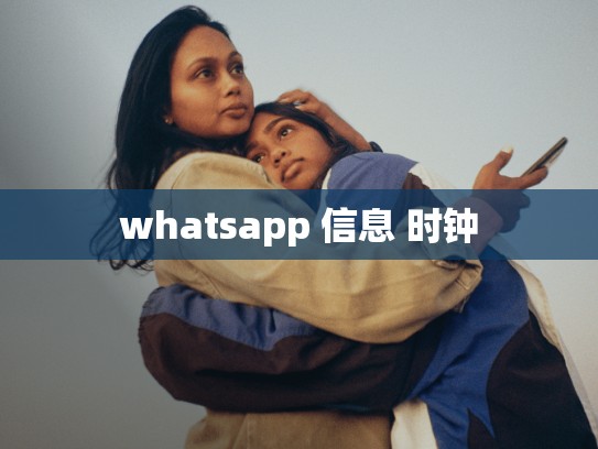 whatsapp 信息 时钟