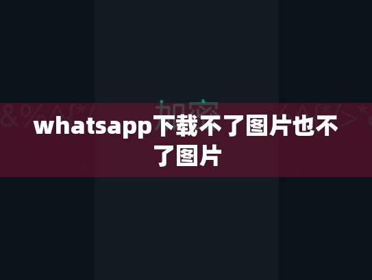 whatsapp下载不了图片也不了图片