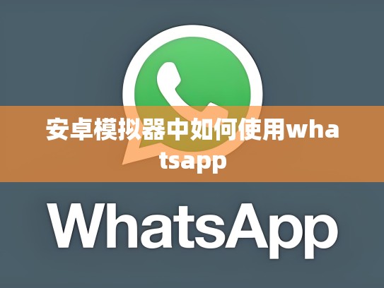 安卓模拟器中如何使用whatsapp