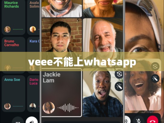 veee不能上whatsapp