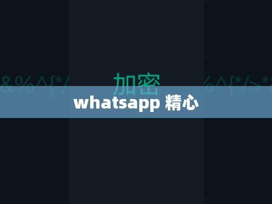 whatsapp 精心