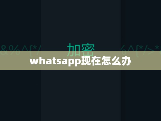 whatsapp现在怎么办