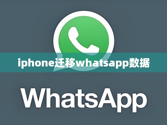 iphone迁移whatsapp数据