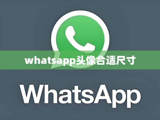 whatsapp头像合适尺寸