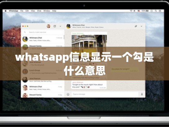 whatsapp信息显示一个勾是什么意思