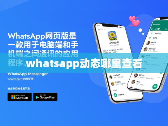 whatsapp动态哪里查看