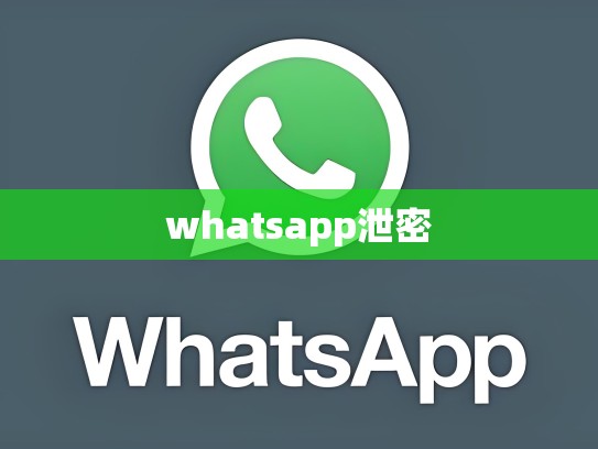 whatsapp泄密