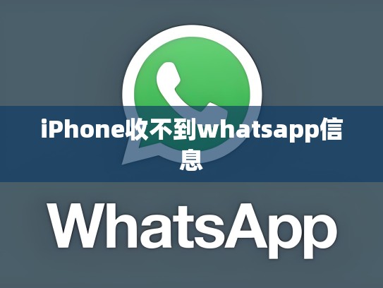 iPhone收不到whatsapp信息
