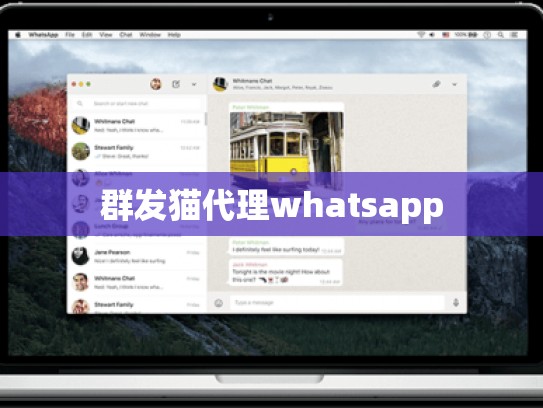 群发猫代理whatsapp