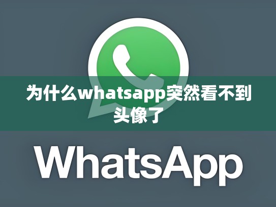 为什么whatsapp突然看不到头像了