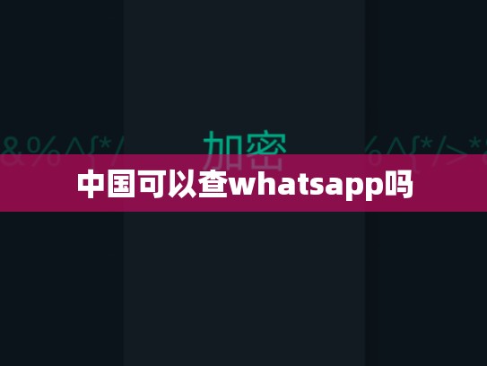 中国可以查whatsapp吗