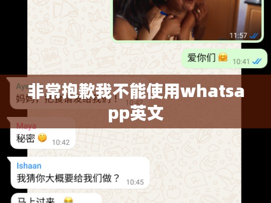 非常抱歉我不能使用whatsapp英文