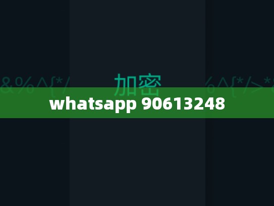 whatsapp 90613248