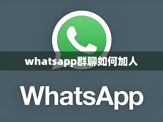 whatsapp群聊如何加人