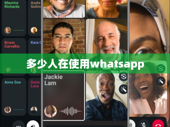 多少人在使用whatsapp