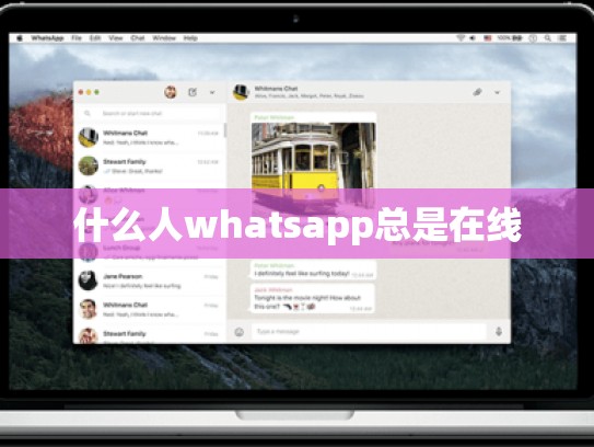 什么人whatsapp总是在线