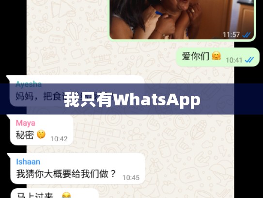 我只有WhatsApp