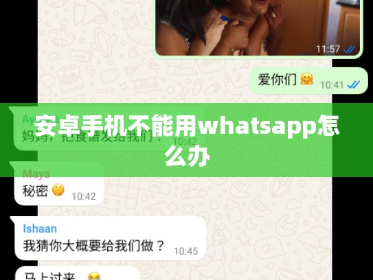 安卓手机不能用whatsapp怎么办