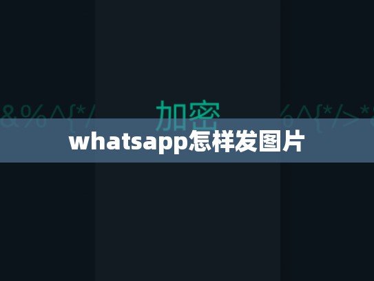 whatsapp怎样发图片