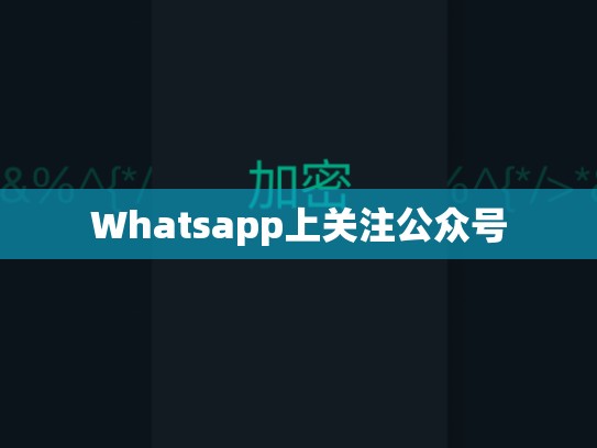 Whatsapp上关注公众号