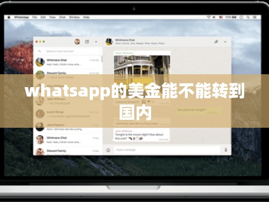 whatsapp的美金能不能转到国内