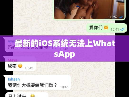 最新的iOS系统无法上WhatsApp