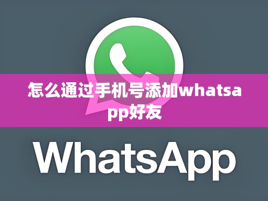 怎么通过手机号添加whatsapp好友