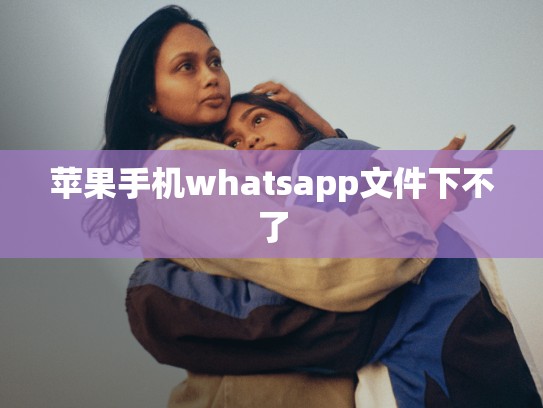 苹果手机whatsapp文件下不了