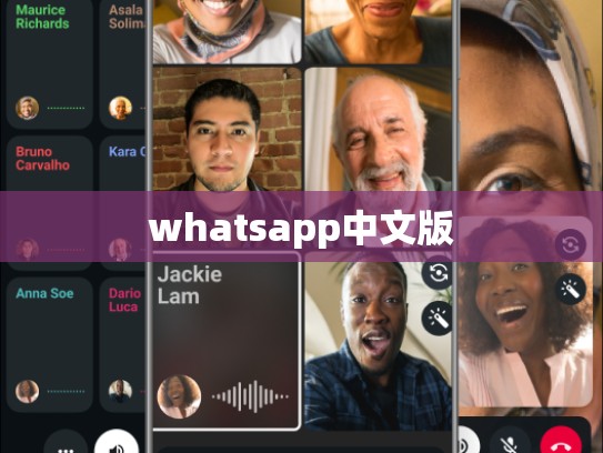 whatsapp中文版