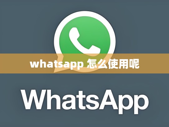 whatsapp 怎么使用呢