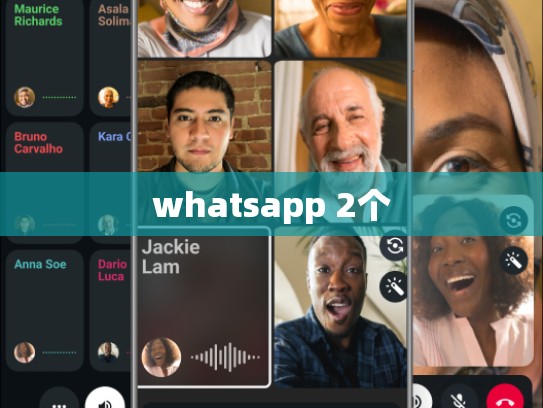 whatsapp 2个