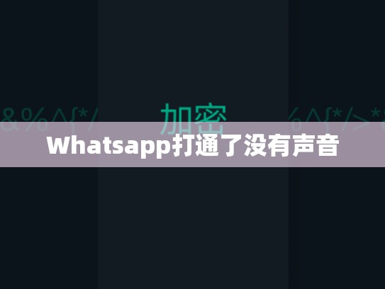 Whatsapp打通了没有声音