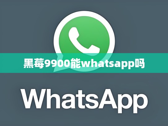 黑莓9900能whatsapp吗