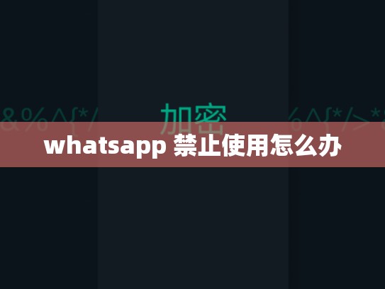 whatsapp 禁止使用怎么办