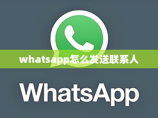 whatsapp怎么发送联系人