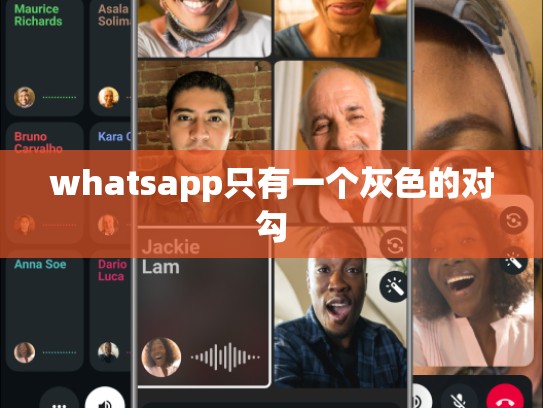 whatsapp只有一个灰色的对勾