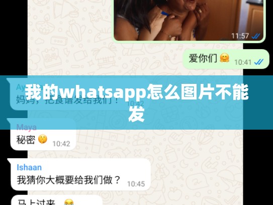我的whatsapp怎么图片不能发