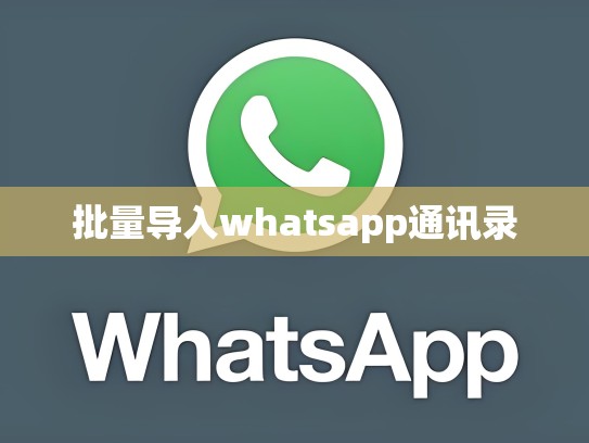批量导入whatsapp通讯录