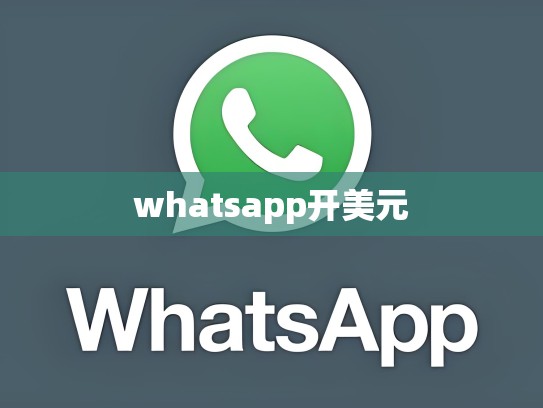 whatsapp开美元