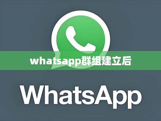 whatsapp群组建立后