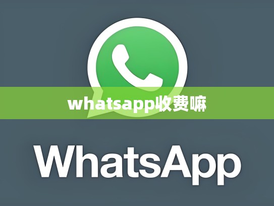 whatsapp收费嘛