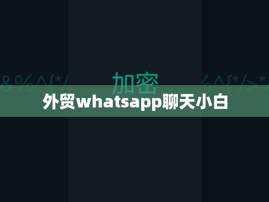 外贸whatsapp聊天小白