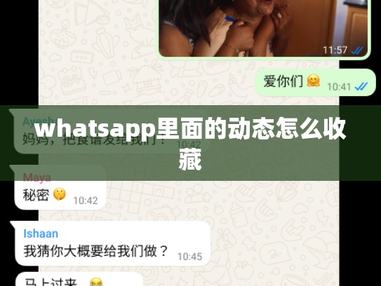 whatsapp里面的动态怎么收藏