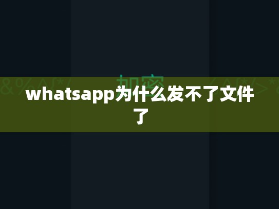 whatsapp为什么发不了文件了
