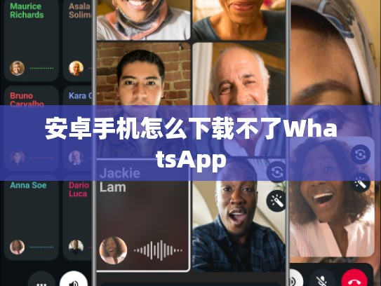 安卓手机怎么下载不了WhatsApp